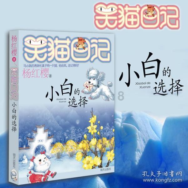 美国流浪猫每年杀死几十亿哺乳动物 已造成63个物种灭绝