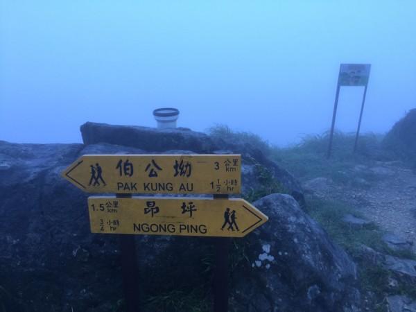 第二届沈阳青少年冰球邀请赛启幕
