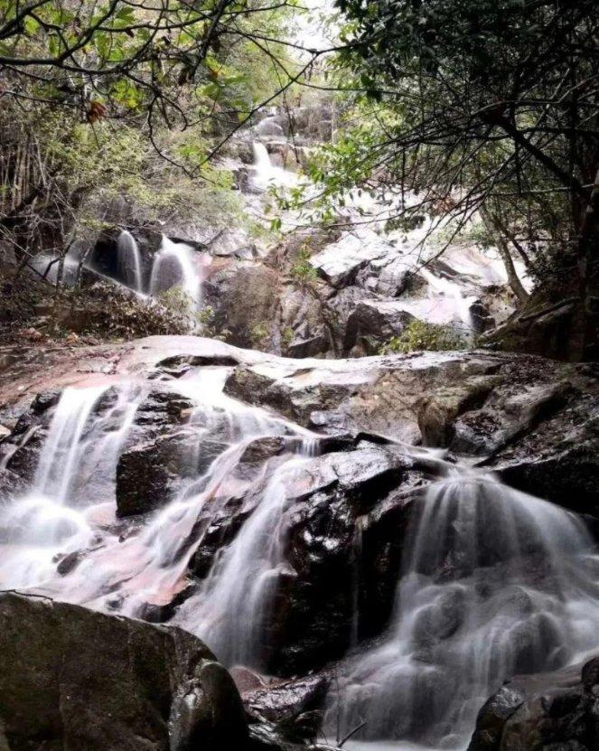 福建龙文：近百米龙灯船送祝福