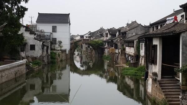 它是乳腺增生的“天敌”，女人经常吃，或许会助你“散结消肿”